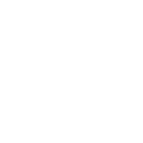 ls-auidio